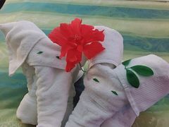 -威海天沐温泉度假区
