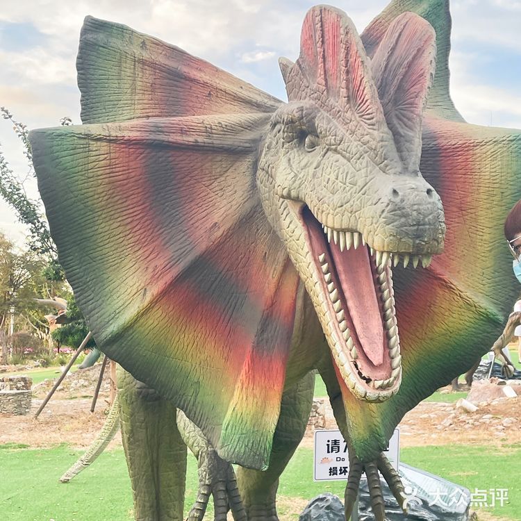 🌸上海奇迹花园🌸仙女出片地