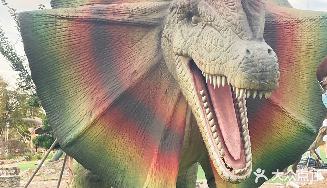 🌸上海奇迹花园🌸仙女出片地