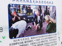 -盐城丹顶鹤湿地生态旅游区