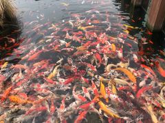 -宁波杭州湾国家湿地公园