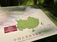 -中国茶叶博物馆(双峰馆区)