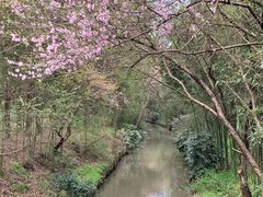 -同里国家湿地公园