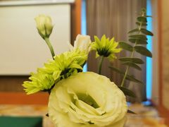 -苏州太湖国际会议中心