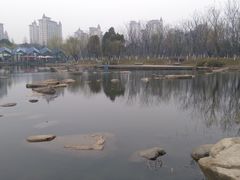 -暨阳湖生态园