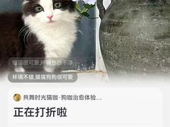 -共舞时光猫咖·狗咖(新街口店)