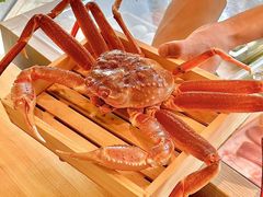 -鮨冠OMAKASE食べ放题(北京首店)