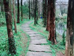 -中国茶叶博物馆(双峰馆区)