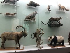 -国家自然博物馆