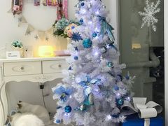 -BABYDOG宝贝狗宠物乐园(欧洲城店)