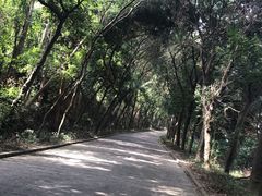 -南沙高尔夫球会