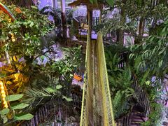 -正佳雨林生态植物园
