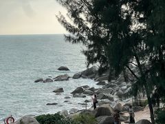 -广东惠东海龟国家级自然保护区