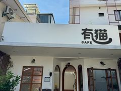 -有猫主题·治愈系猫咖(曾厝垵店)