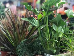 -大学城夜市大排档(凤栖路店)