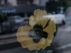 -Again Coffee Roaster(香蜜湖店)