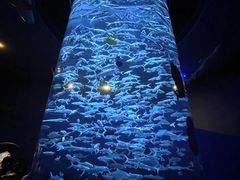 -香港海洋公园
