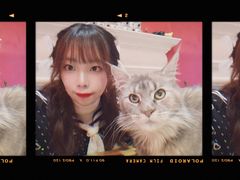 -猫色咖啡·猫咖