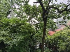 -莫干山风景区