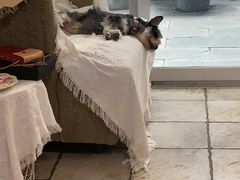 -零几体验diy皮具工作室(振业城店)