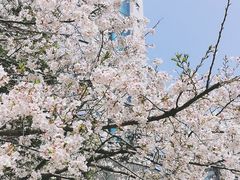 -玛格萝妮比萨屋(四平店)