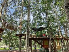 -朝阳公园游乐园