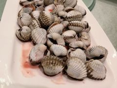 血蛤-华盛丰温州大排档(东三环南路店)