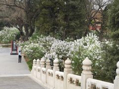 -故宫博物院(故宫)