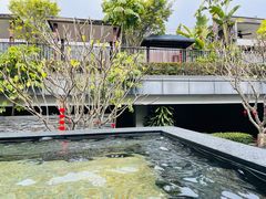 -明谷行馆·温泉