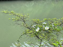 -天台山琼台仙谷景区