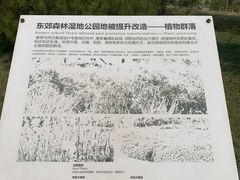 -东郊湿地公园