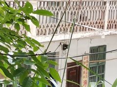 -漓江冠岩景区