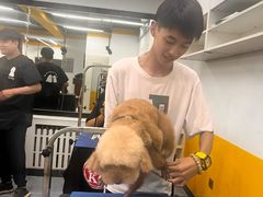 -优缇多格专业宠物美容师培训学校