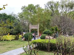 -晓港公园