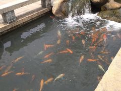 -大笑饭堂(甲子桥店)