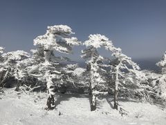 -秦岭风景区