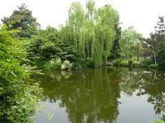 -西湖外事游船(花港观鱼码头)