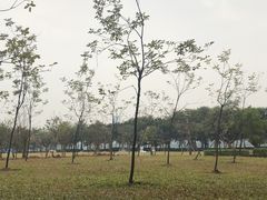 -顺峰山公园