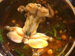 -鸿顺老铁锅美蛙鱼府(解放碑店)