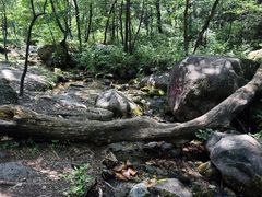 -玉渡山自然风景区