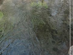-水磨沟公园