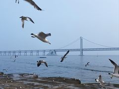 -星海广场
