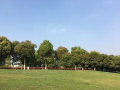 -九里河湿地公园