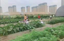 -可可天空农场(东部新城银泰店)