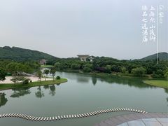-上海佘山世茂艾美酒店