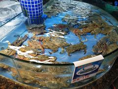 -海棠湾聚鼎香海鲜坊(海昌梦幻不夜城店)