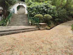 -中山公园(石岐街道)