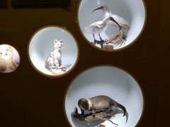 -陕西自然博物馆