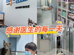 -纳吉亚猫专科动物诊疗中心(蒋宅口分院)