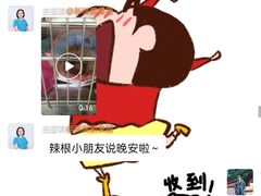 -美联众合动物医院·24h转诊中心